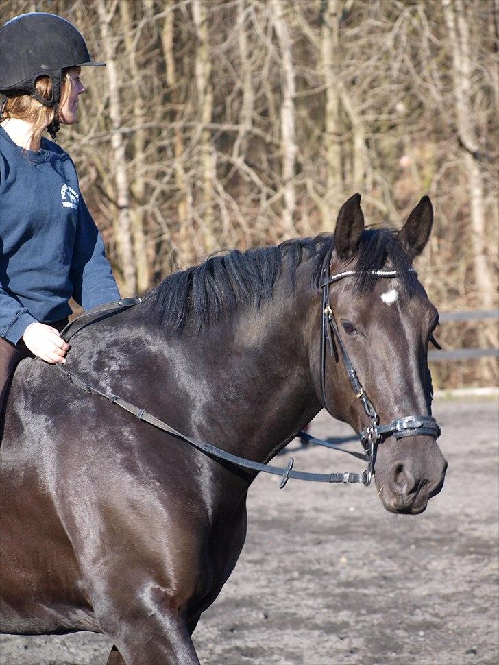 Kathrine og Grå  billede 24