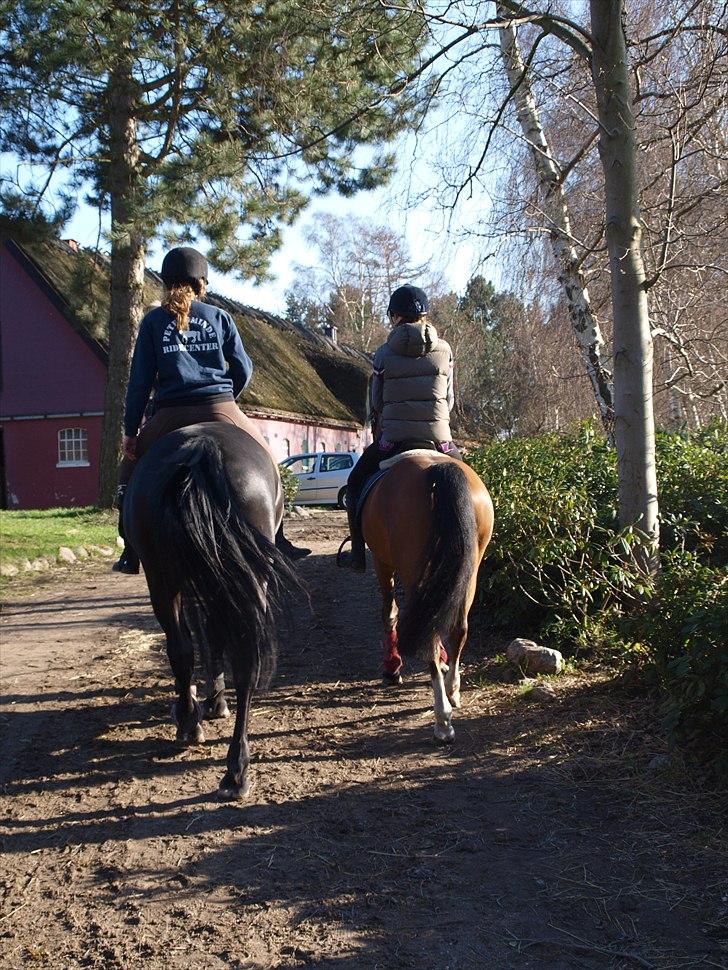 Kathrine og Grå  billede 25