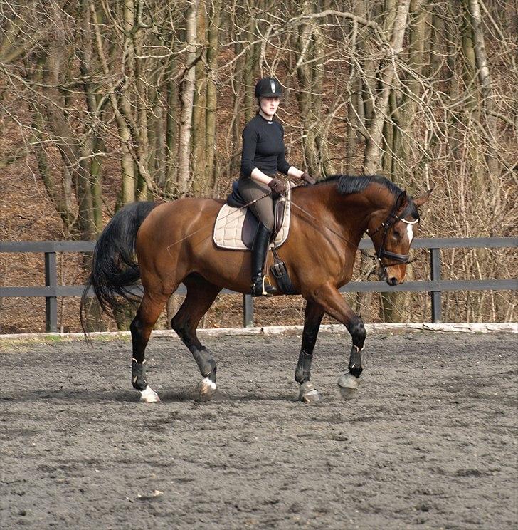 Kathrine og Grå  billede 28