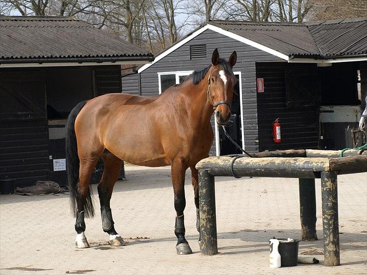 Kathrine og Grå  billede 29