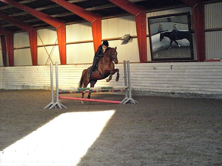 Kathrine og Grå  billede 31