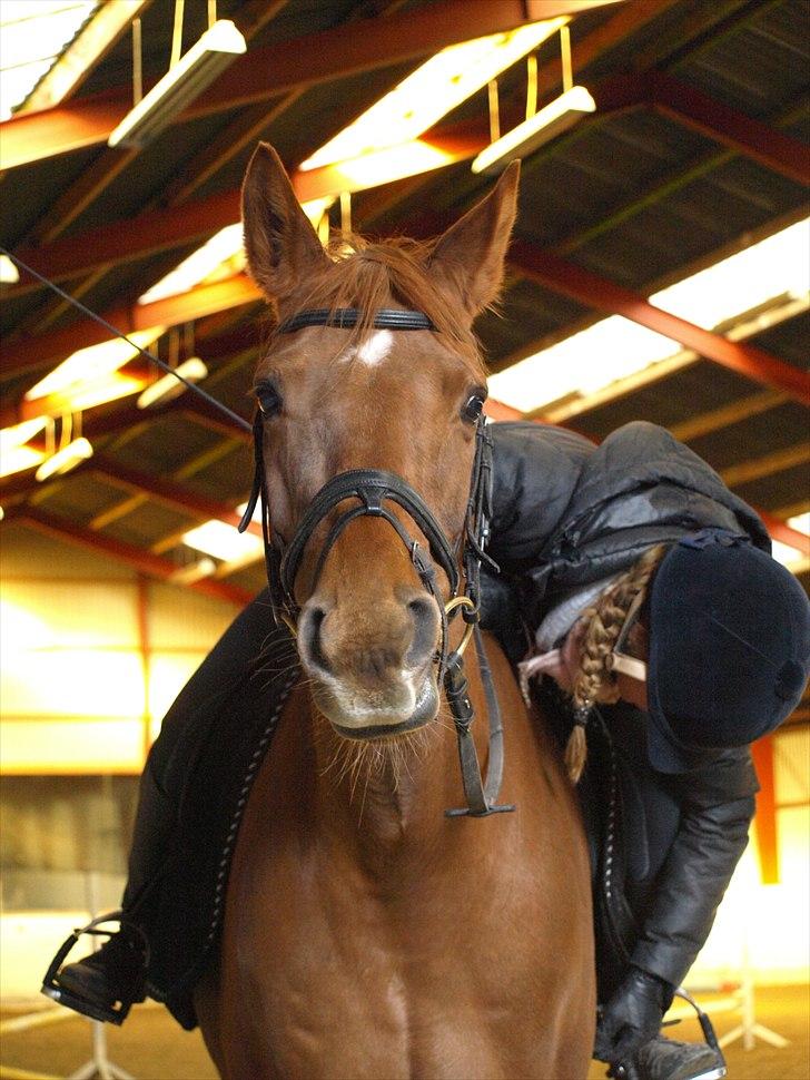 Kathrine og Grå  billede 32