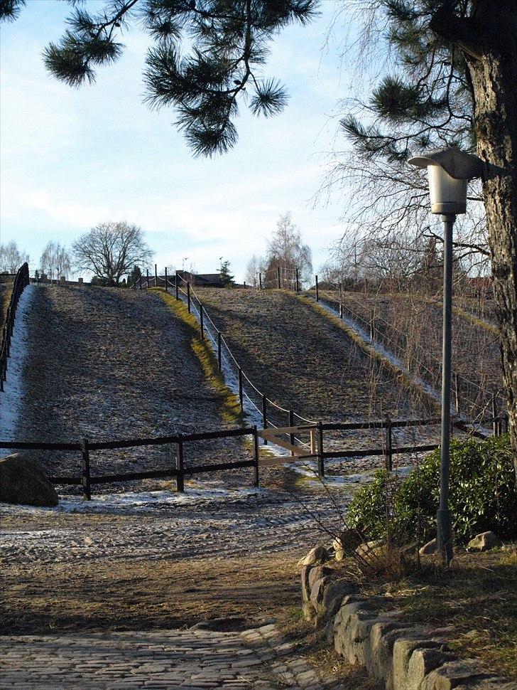 Kathrine og Grå  billede 33