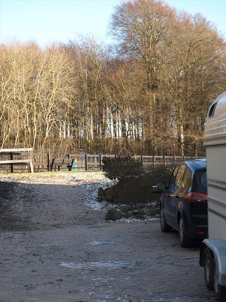 Kathrine og Grå  billede 34