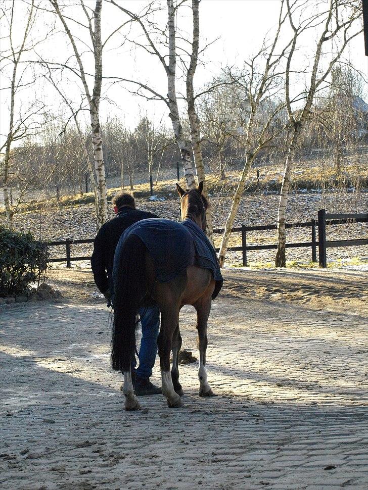 Kathrine og Grå  billede 35