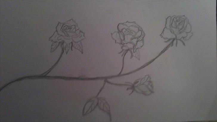 Mine tegninger - Roser :)
min tatovering jeg selv har tegnet billede 4