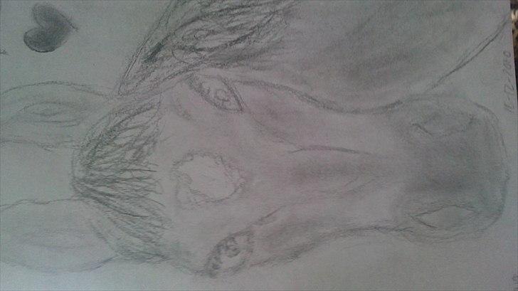 Mine tegninger - Min hest space <3 billede 5