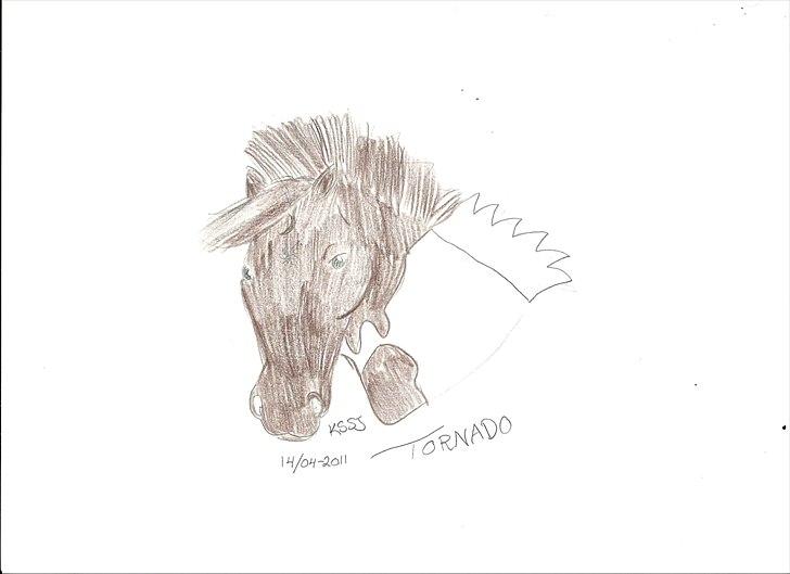 Cartoons og tegninger til andre billede 13