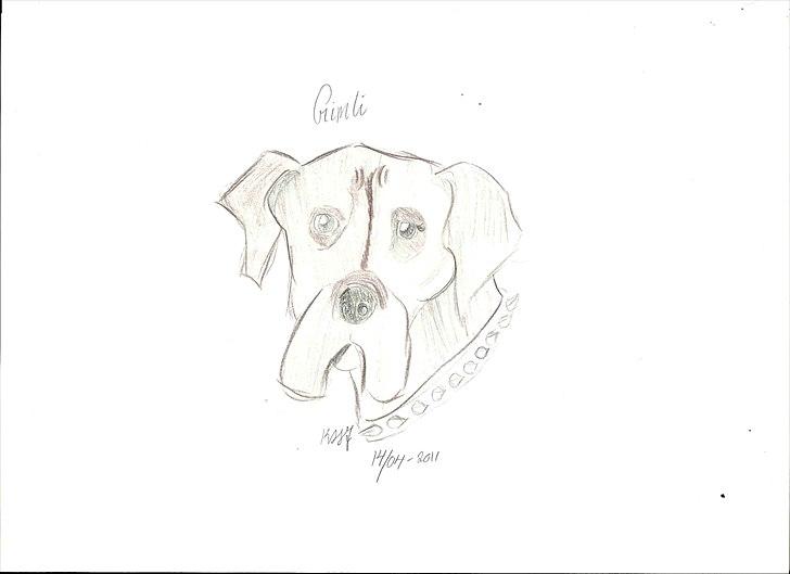 Cartoons og tegninger til andre - Gimli
 billede 16