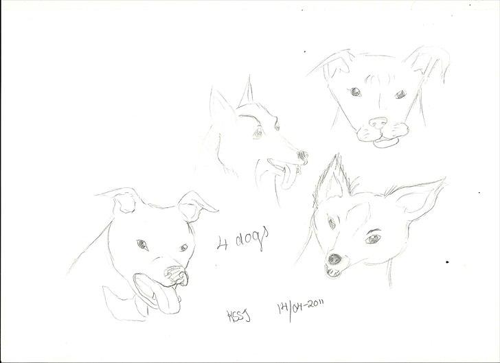 Cartoons og tegninger til andre billede 17