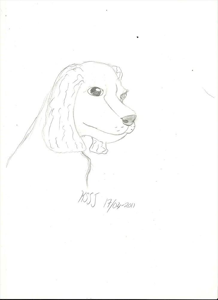 Cartoons og tegninger til andre billede 18