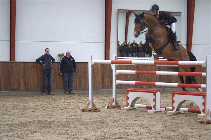 Hingste fremvisning hos Andreas Helgstrand - Check In. billede 118