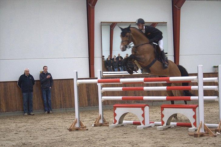 Hingste fremvisning hos Andreas Helgstrand - Check In. billede 119