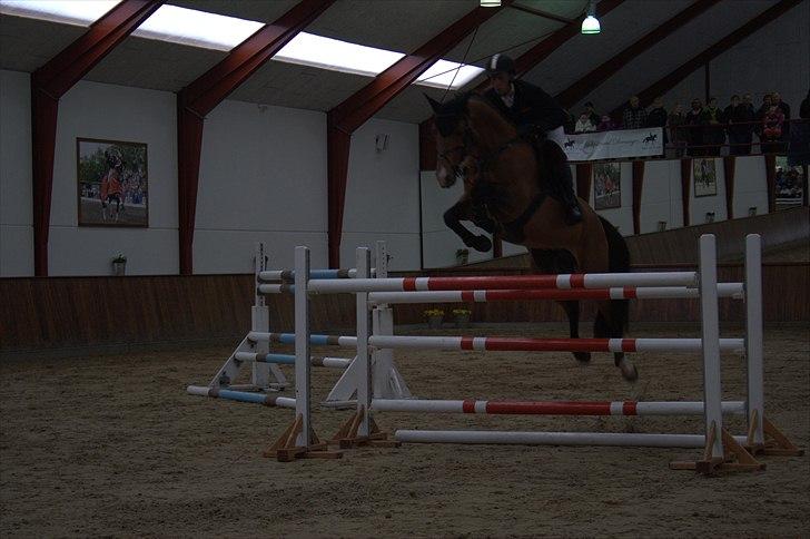 Hingste fremvisning hos Andreas Helgstrand - Check In. billede 120