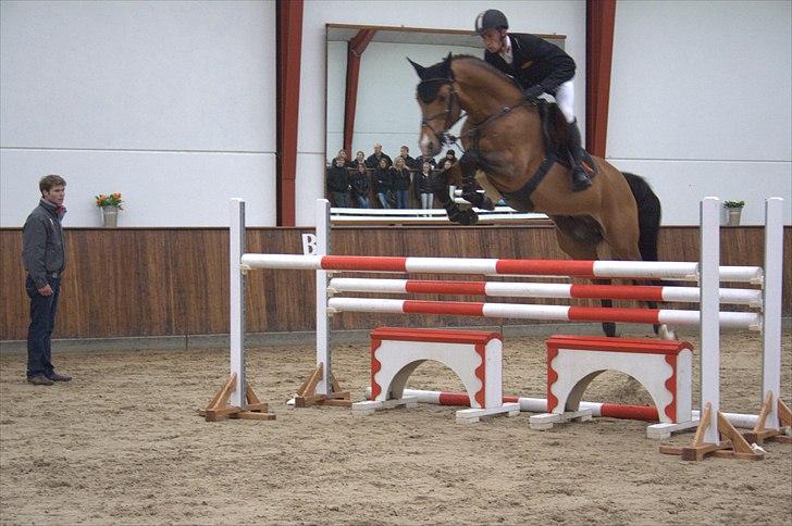 Hingste fremvisning hos Andreas Helgstrand - Check In. billede 121