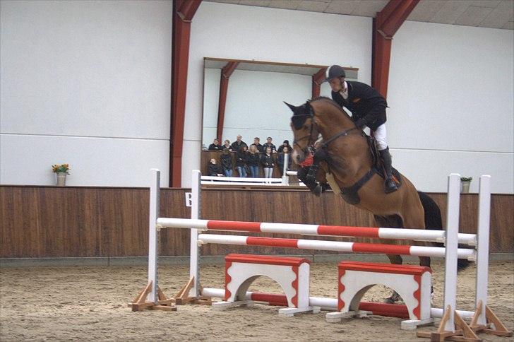 Hingste fremvisning hos Andreas Helgstrand - Check In. billede 122