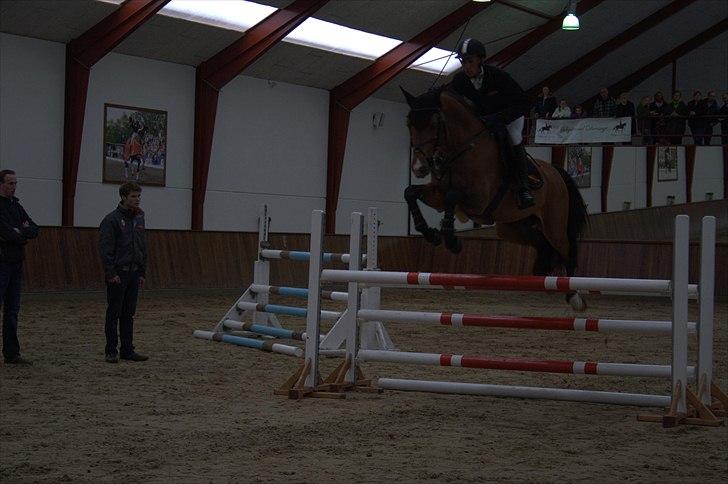 Hingste fremvisning hos Andreas Helgstrand - Check In. billede 123