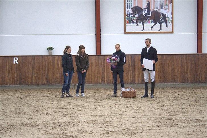 Hingste fremvisning hos Andreas Helgstrand billede 124