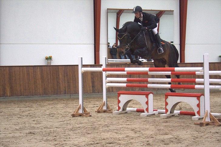 Hingste fremvisning hos Andreas Helgstrand - Cantoblanco. billede 125