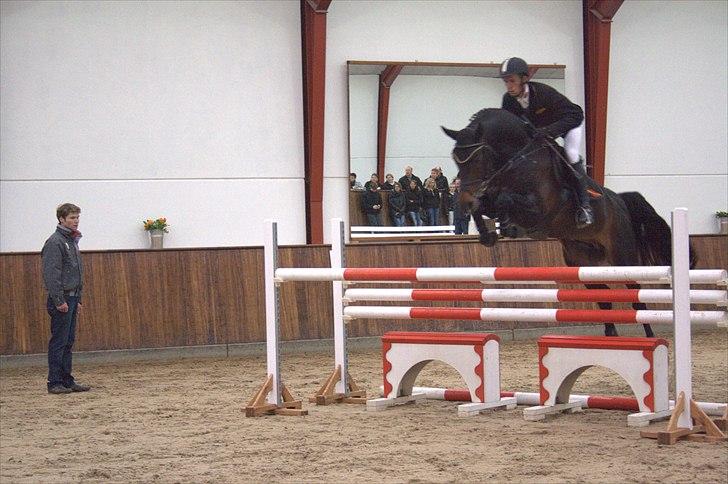 Hingste fremvisning hos Andreas Helgstrand - Cantoblanco. billede 126