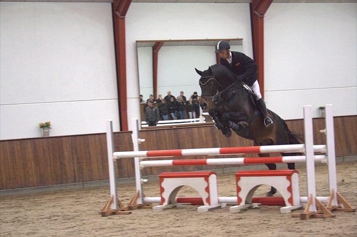 Hingste fremvisning hos Andreas Helgstrand - Cantoblanco. billede 127