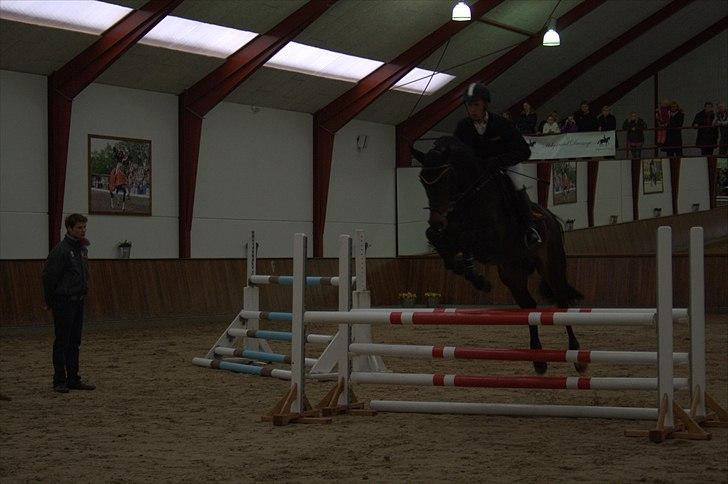 Hingste fremvisning hos Andreas Helgstrand - Cantoblanco. billede 128