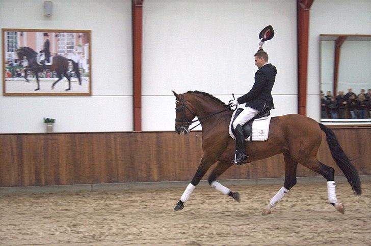 Hingste fremvisning hos Andreas Helgstrand - Sieger Hit. billede 129