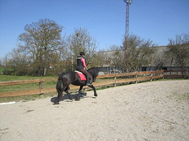 Ariel - Freiser billede 2