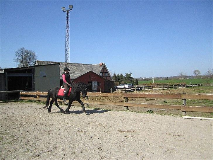 Ariel - Freiser billede 11