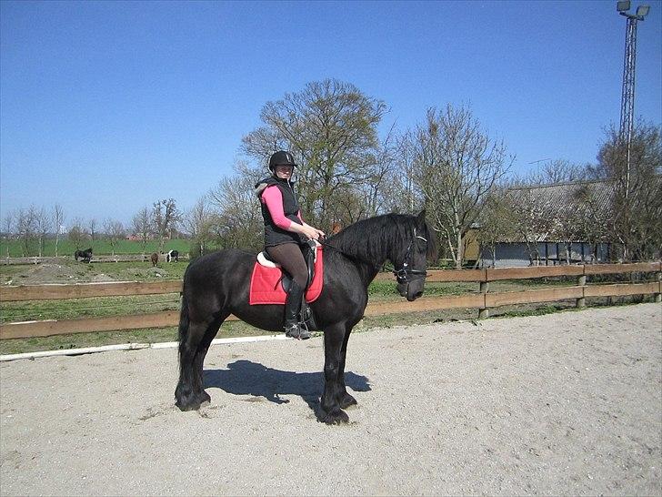 Ariel - Freiser billede 13