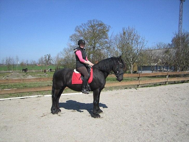 Ariel - Freiser billede 14