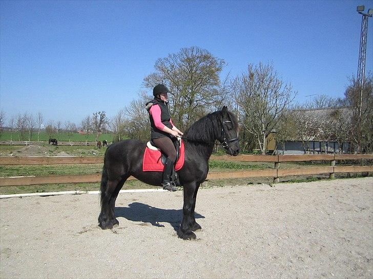 Ariel - Freiser billede 15