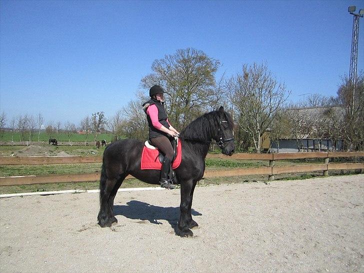 Ariel - Freiser billede 16