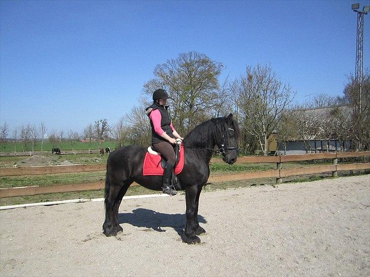 Ariel - Freiser billede 17