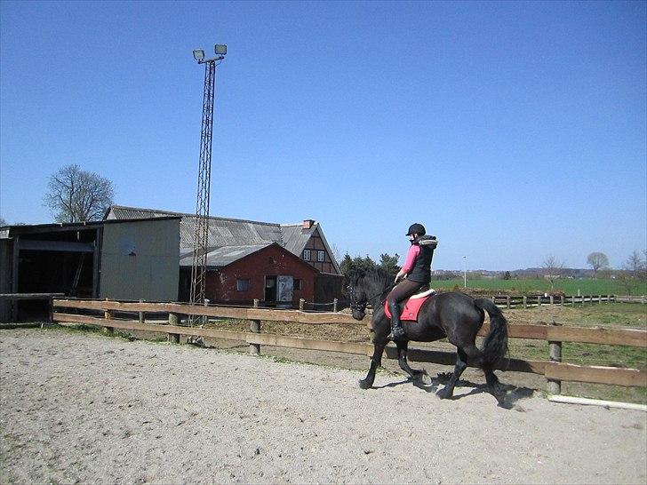 Ariel - Freiser billede 18