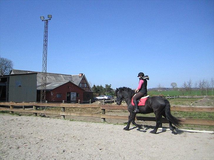 Ariel - Freiser billede 19