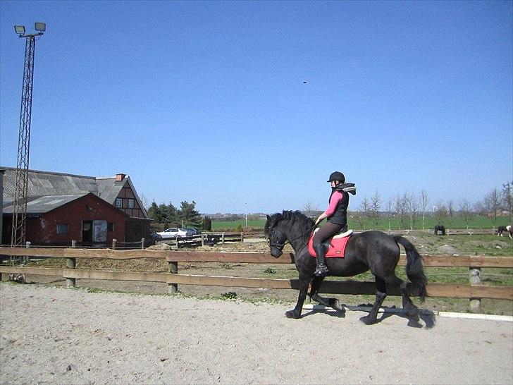 Ariel - Freiser billede 20