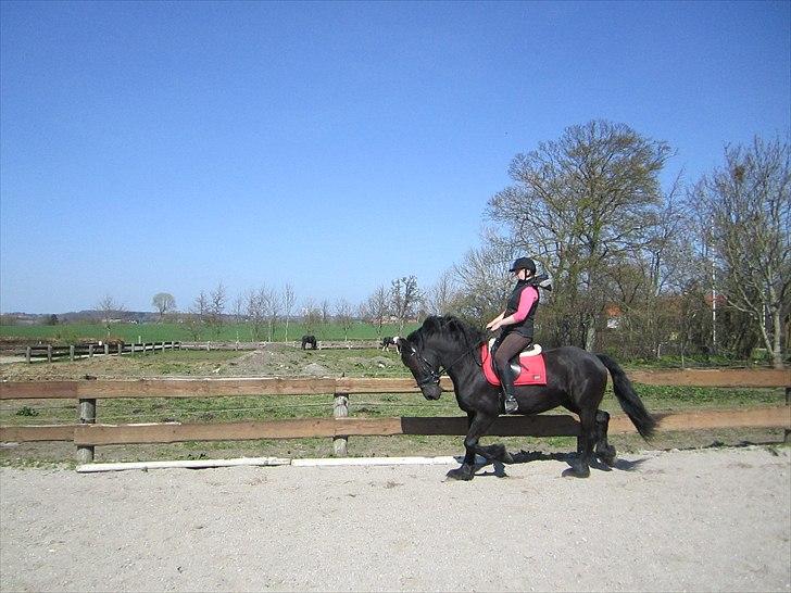 Ariel - Freiser billede 21