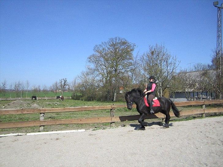 Ariel - Freiser billede 23