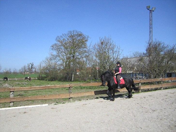 Ariel - Freiser billede 24