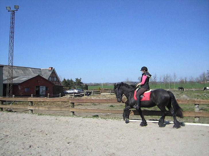 Ariel - Freiser billede 25