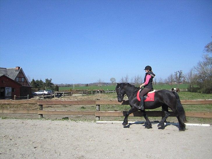 Ariel - Freiser billede 26