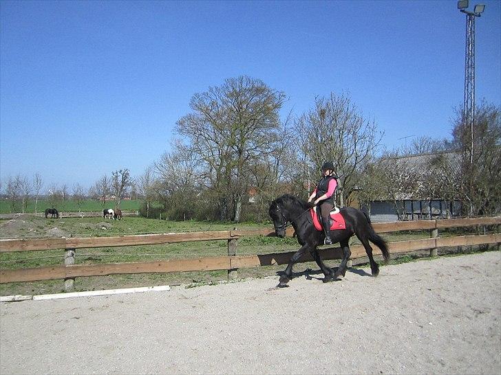 Ariel - Freiser billede 27