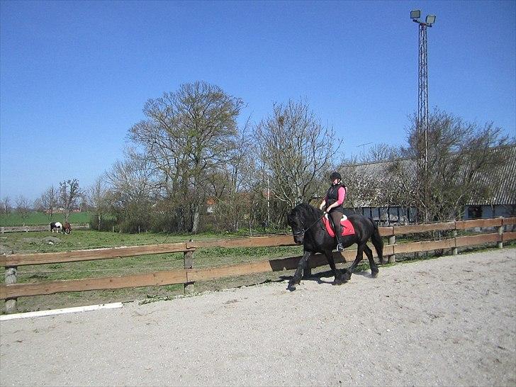 Ariel - Freiser billede 28