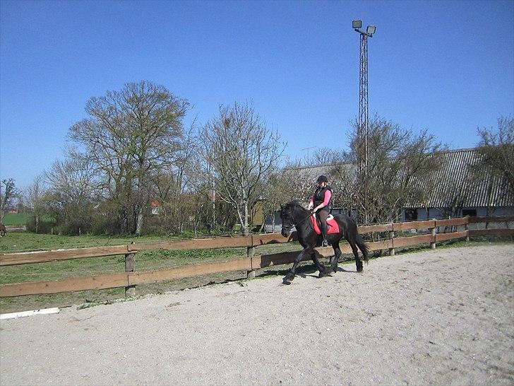 Ariel - Freiser billede 29