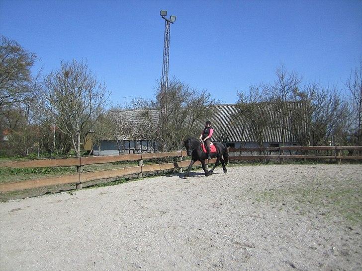 Ariel - Freiser billede 30