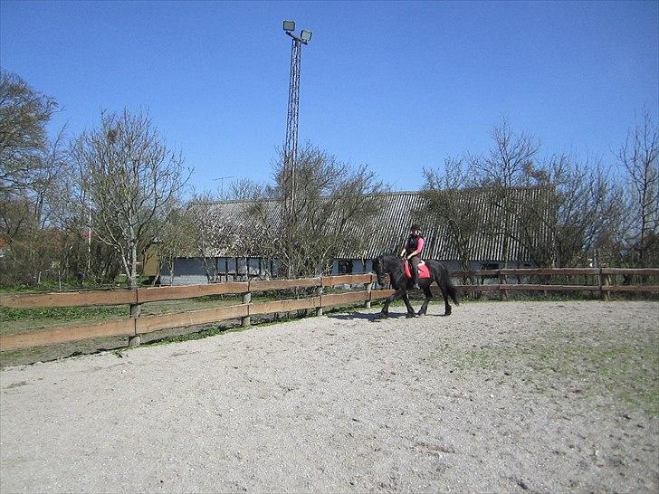 Ariel - Freiser billede 31