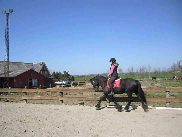 Ariel - Freiser billede 32