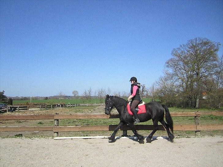 Ariel - Freiser billede 33