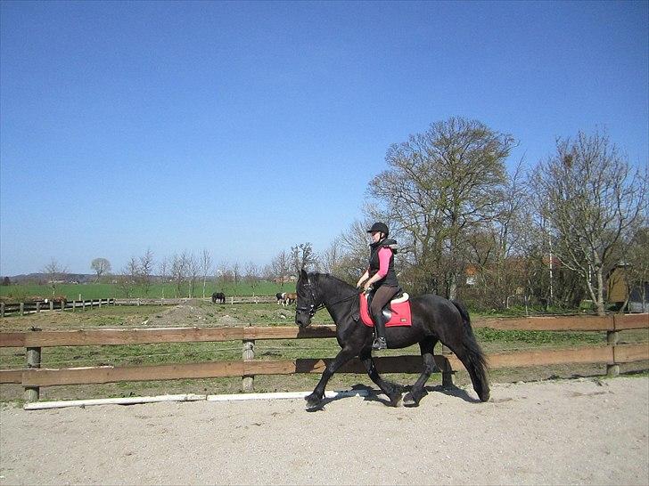 Ariel - Freiser billede 34